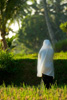 Evening Prayers Photo: A devout muslim breaks from her work in the rice fields to pray facing west towards Mecca.