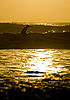 Backside Cutback Photo: At Kuta Beach in Bali, a local beach-boy rides the waves.