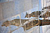 Wet Square (Marching Band II) Photo: Members of the marching band are reflected off the surface of Sukhbataar Square.