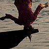 Flip - Flop Photo: A young Nepali girl splashes about during her evening swim at Chitwan National Park.