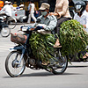 Produce Pillion Photo: I saw this pair zooming by at the last second so, unfortunately, I only had a split second to dial in an exposure which explains the slow shutter speed and hence a slightly blurry image.