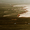 Dusty Dash Photo: The home stretch of the horse racing portion of the Nadaam Festival.