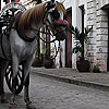 Colonial Course Photo: A beautifully paved road in the historic part of Vigan.