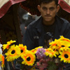 Blooming Bicycle Photo: A flower-decorated cycle rickshaw rolls down a poorly paved road in Kathmandu.