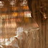 Strings Attached Photo: A saree weaver is seen through the white strings of a handloom.