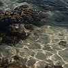 Low Life Photo: Corals seen through clear ocean water at low tide. 