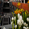 Locomotive Lodging Photo: A small bed of flowers brightens up Centraal Station's cavernous train shed.