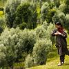 Sierra Shepherd Photo: A Kashmiri gypsy tends to her grazing herd.