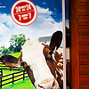 Daily Dairy Photo: An automated milk vending machine housed in a rustic shed.