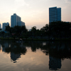 Lumphini Park Lizard Photo: A water monster lurks in downtown Bangkok's Lumphini park at sunset.