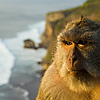 Bali Cliffs & Monkey Photo: A monkey perches precariously close to the cliffs overlooking a steep drop in Bali (ARCHIVED PHOTO on the weekends - originally photographed 2006/10/08).