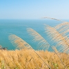 Verdant View Photo: A beautiful landscape typical of the island of Juguang in the Matsu archipelago in Taiwan.