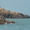 Bird Bunch Photo: A set of rocky islets near Daqiu, a bird watching destination, provide a home to a large assortment of terns on the Matsu islands of Taiwan.