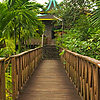 Dark Deck Photo: A wooden deck at the Sepilok Orangutan Rehabilitation Center in Borneo, Malaysia (ARCHIVED PHOTO on the weekends - originally photographed 2006/09/05).