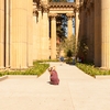 Creamy Columns Photo: A tourist crouches for an all-inclusive shot of the columns at the Palace of Fine Arts in San Francisco.