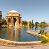 Pigeon & Photographer Photo: A pigeon and photographer stand in the park surrounding the Palace of Fine Arts in San Francisco.