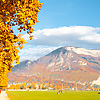 Senior Citizens Photo: Retirees relax on park benches along a park near Annecy Lake.