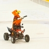 Intermission Diversion Photo: The Geneva-Servette Wild Eagle mascot shoots tshirts into the crowd during intermission at a Swiss ice hockey game.